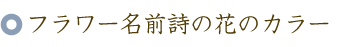 フラワー名前ポエム（名前の詩）の花のカラー