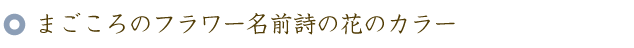 還暦のお祝いに贈る60本のバラの花束と名前ポエム（名前の詩）