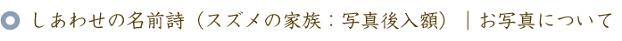 還暦のお祝いに贈る60本のバラの花束と名前ポエム（名前の詩）